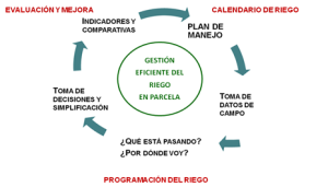 Ciclo-gestion-riego-en-parcela